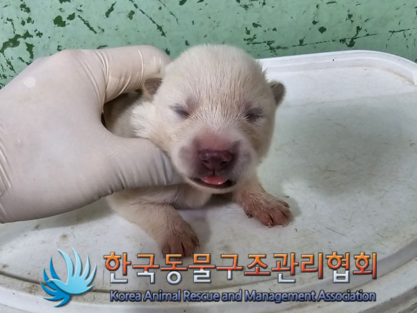 한국동물구조관리협회_441406202301103